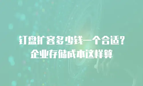 钉盘扩容多少钱一个合适？企业存储成本这样算