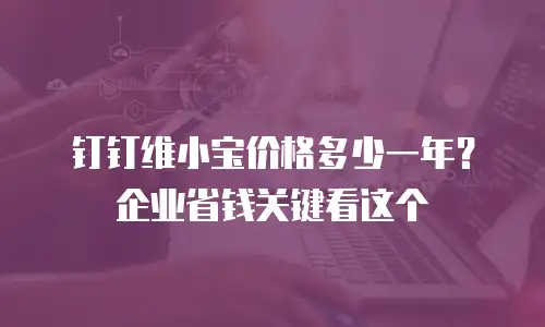 钉钉维小宝价格多少一年？企业省钱关键看这个