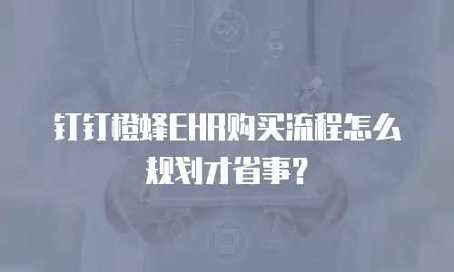 钉钉橙蜂EHR购买流程怎么规划才省事？