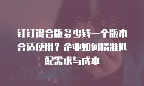 钉钉混合版多少钱一个版本合适使用？企业如何精准匹配需求与成本