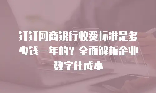 钉钉网商银行收费标准是多少钱一年的？全面解析企业数字化成本