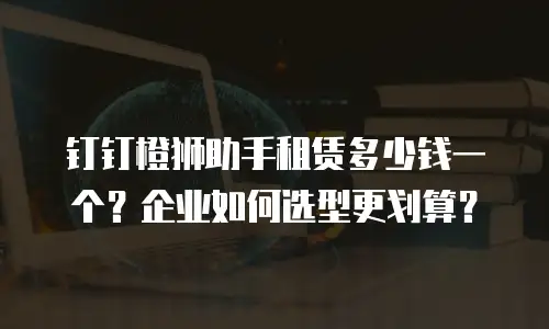 钉钉橙狮助手租赁多少钱一个？企业如何选型更划算？