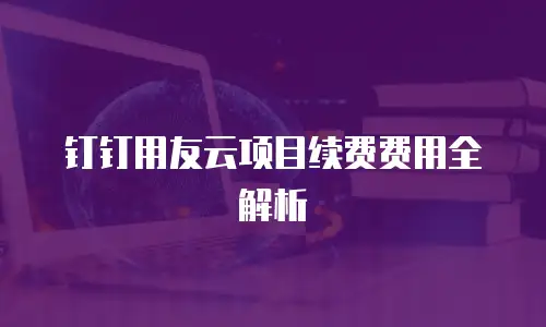 钉钉用友云项目续费费用全解析