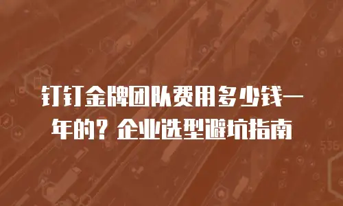 钉钉金牌团队费用多少钱一年的？企业选型避坑指南