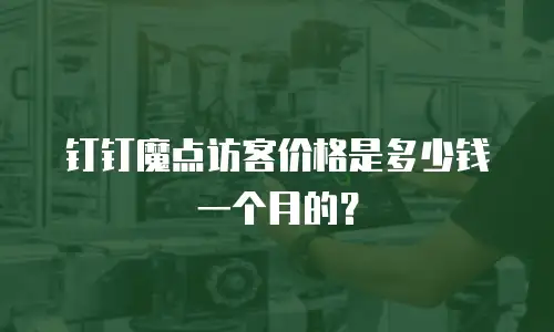 钉钉魔点访客价格是多少钱一个月的？