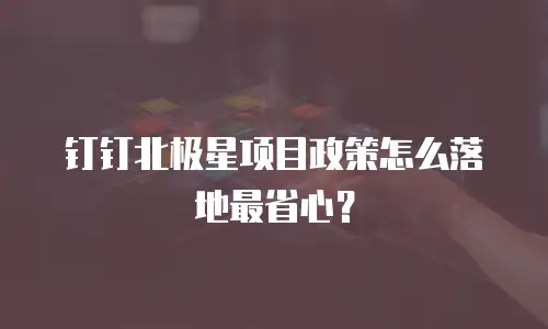 钉钉北极星项目政策怎么落地最省心？