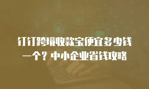 钉钉跨境收款宝便宜多少钱一个？中小企业省钱攻略
