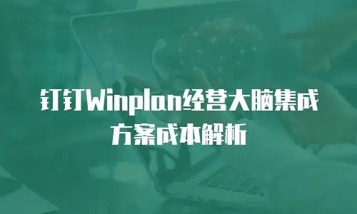 钉钉Winplan经营大脑集成方案成本解析