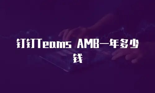 钉钉Teams AMB一年多少钱