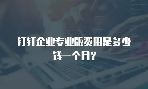 钉钉企业专业版费用是多少钱一个月？