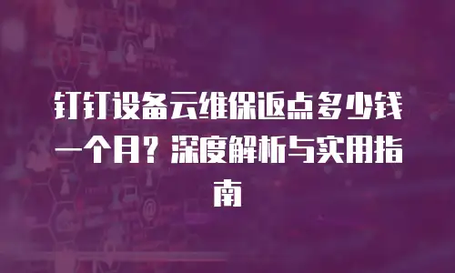 钉钉设备云维保返点多少钱一个月？深度解析与实用指南
