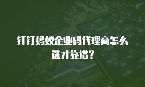 钉钉蚂蚁企业码代理商怎么选才靠谱？