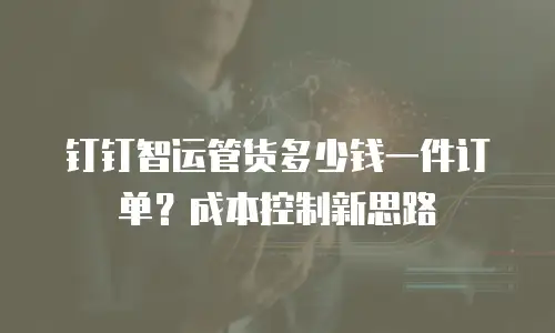 钉钉智运管货多少钱一件订单？成本控制新思路