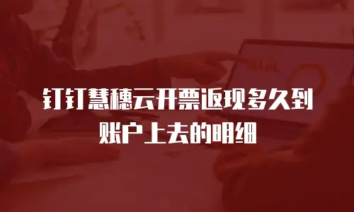 钉钉慧穗云开票返现多久到账户上去的明细