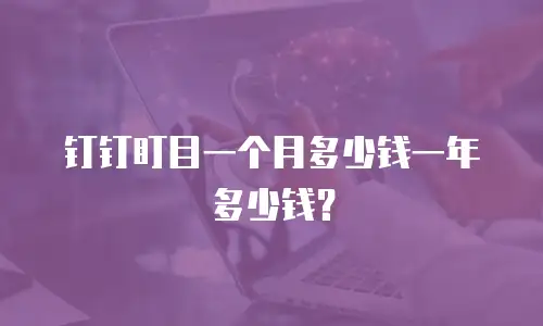 钉钉盯目一个月多少钱一年多少钱？