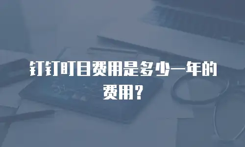 钉钉盯目费用是多少一年的费用？