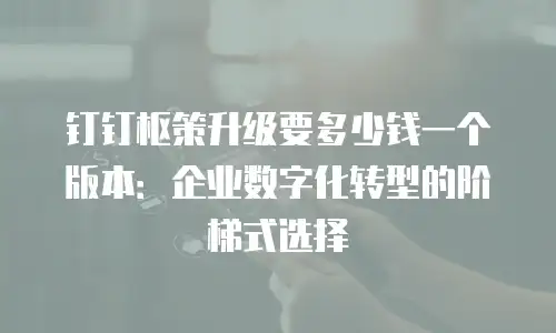 钉钉枢策升级要多少钱一个版本：企业数字化转型的阶梯式选择