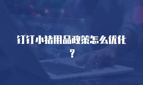 钉钉小猪用品政策怎么优化？