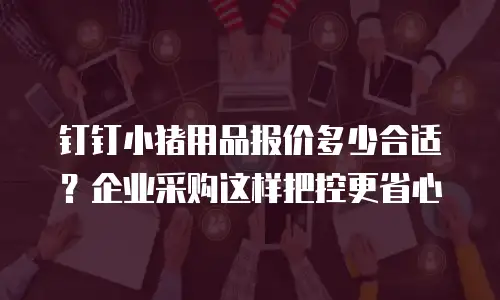 钉钉小猪用品报价多少合适？企业采购这样把控更省心