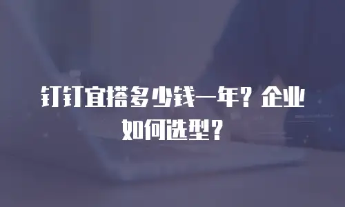 钉钉宜搭多少钱一年？企业如何选型？
