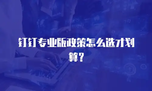 钉钉专业版政策怎么选才划算？