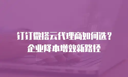 钉钉微搭云代理商如何选？企业降本增效新路径