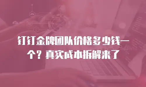 钉钉金牌团队价格多少钱一个？真实成本拆解来了