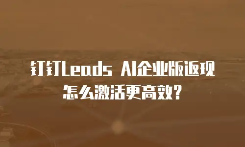 钉钉Leads AI企业版返现怎么激活更高效？