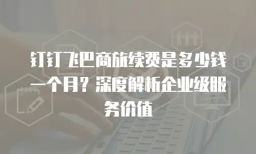 钉钉飞巴商旅续费是多少钱一个月？深度解析企业级服务价值