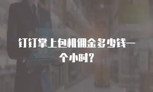 钉钉掌上包机佣金多少钱一个小时？