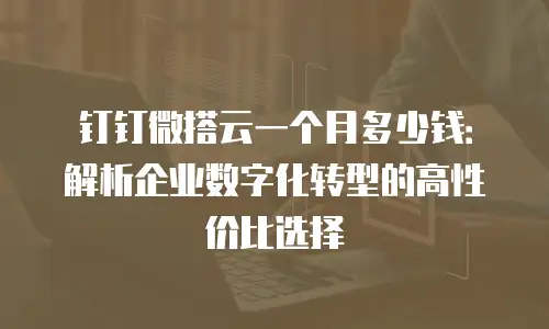 钉钉微搭云一个月多少钱：解析企业数字化转型的高性价比选择