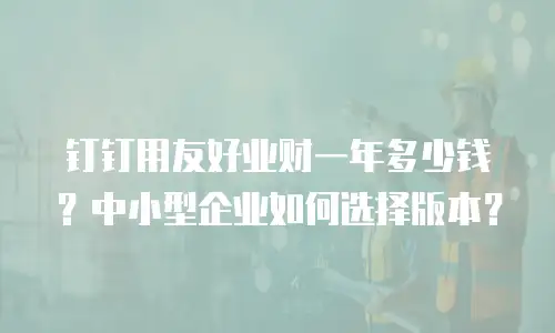 钉钉用友好业财一年多少钱？中小型企业如何选择版本？