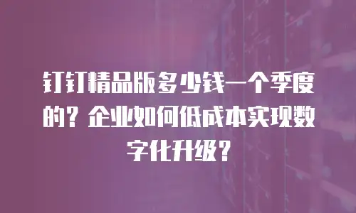 钉钉精品版多少钱一个季度的？企业如何低成本实现数字化升级？