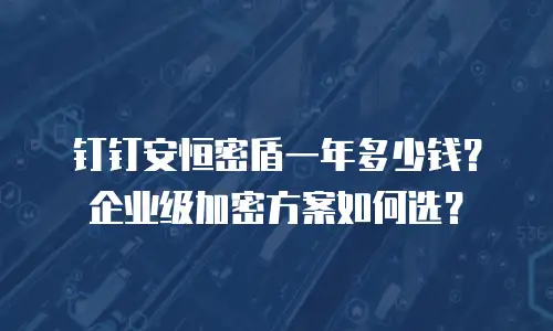 钉钉安恒密盾一年多少钱？企业级加密方案如何选？