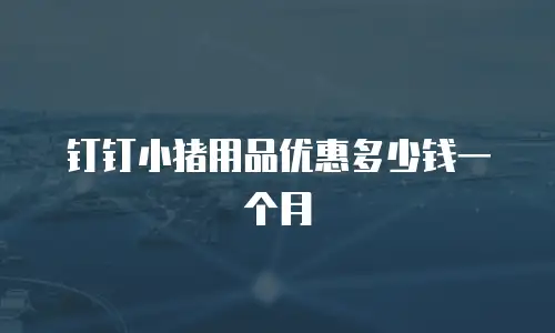 钉钉小猪用品优惠多少钱一个月