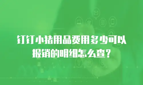 钉钉小猪用品费用多少可以报销的明细怎么查？
