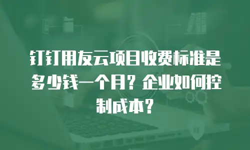 钉钉用友云项目收费标准是多少钱一个月？企业如何控制成本？