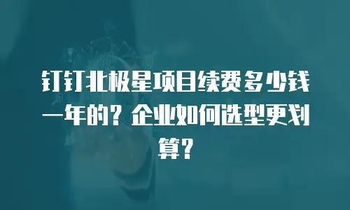 钉钉北极星项目续费多少钱一年的？企业如何选型更划算？