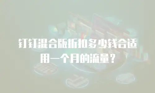 钉钉混合版折扣多少钱合适用一个月的流量？