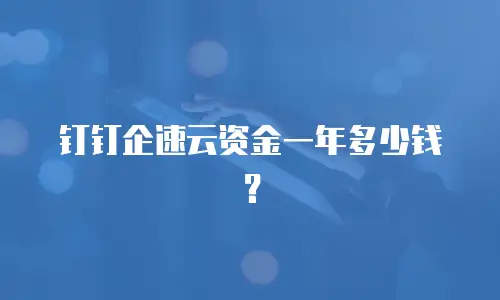 钉钉企速云资金一年多少钱？