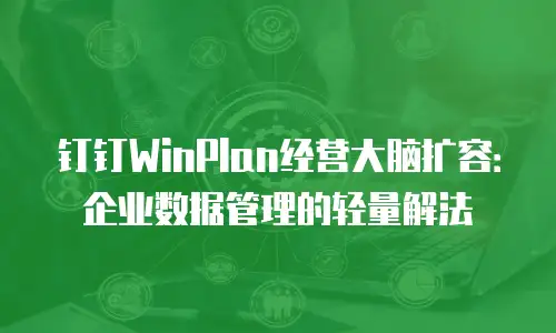 钉钉WinPlan经营大脑扩容：企业数据管理的轻量解法