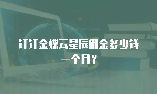 钉钉金蝶云星辰佣金多少钱一个月？