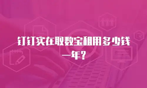 钉钉实在取数宝租用多少钱一年？