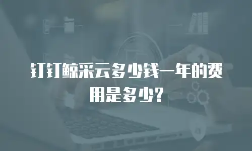 钉钉鲸采云多少钱一年的费用是多少？