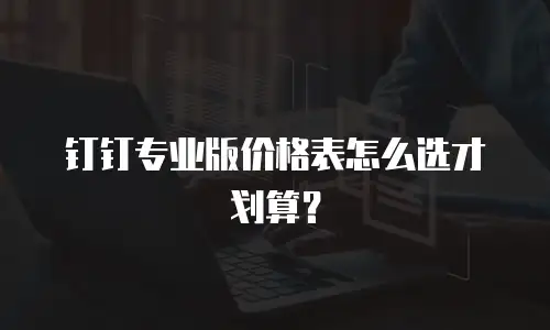 钉钉专业版价格表怎么选才划算？
