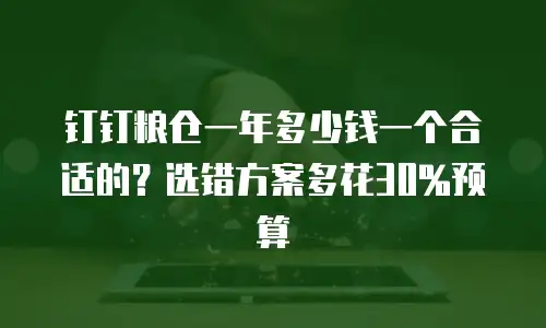 钉钉粮仓一年多少钱一个合适的？选错方案多花30%预算