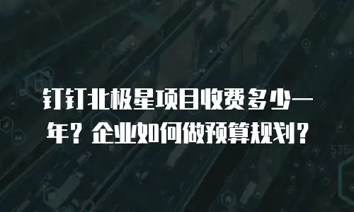 钉钉北极星项目收费多少一年？企业如何做预算规划？