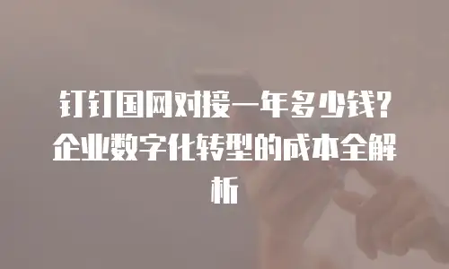 钉钉国网对接一年多少钱？企业数字化转型的成本全解析