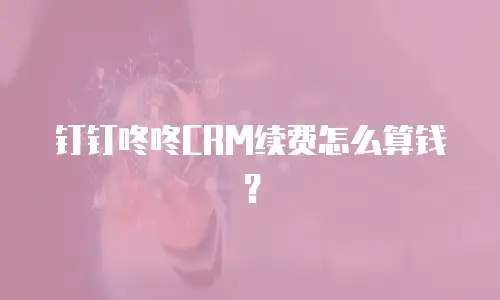 钉钉咚咚CRM续费怎么算钱？