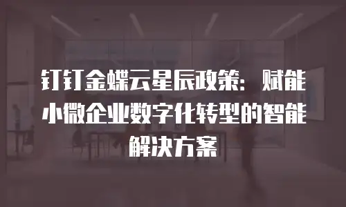 钉钉金蝶云星辰政策：赋能小微企业数字化转型的智能解决方案